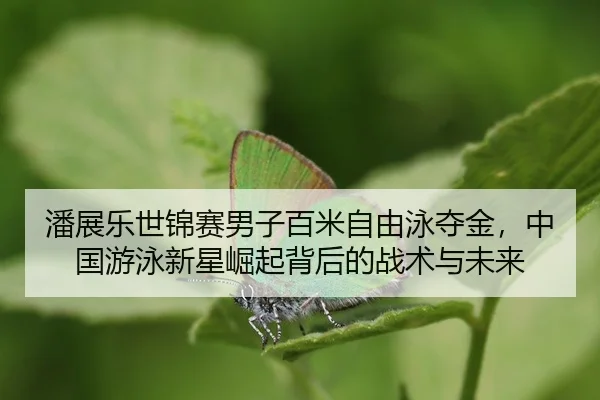 pan-zhan-le-shi-jin-sai-nan-zi-bai-mi-zi-you-yong-duo-jin-zhong-guo-you-yong-xin-xing-jue-qi-bei-hou-de-zhan-shu-yu-wei-2-677.jpg