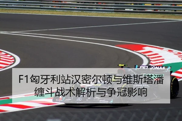 F1匈牙利站汉密尔顿与维斯塔潘缠斗战术解析与争冠影响