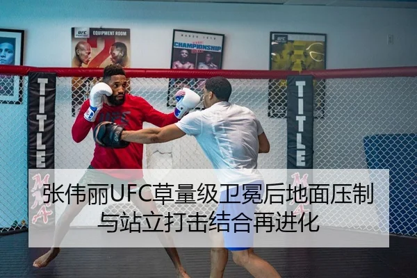 张伟丽UFC草量级卫冕后地面压制与站立打击结合再进化 - hth